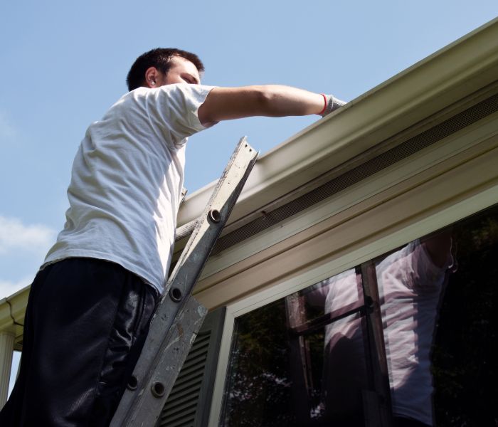 roof and gutter cleaning West Bloomfield